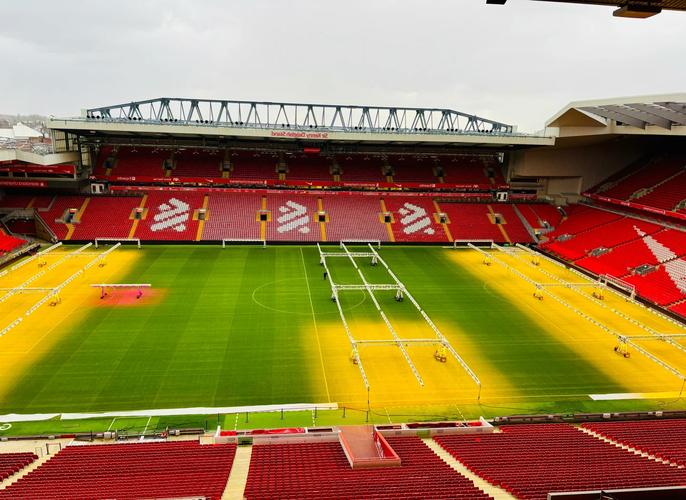 青岛球迷狂欢全场（青岛球迷全场沸腾）